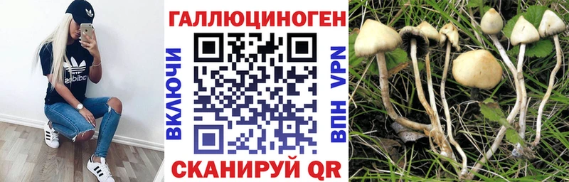 Псилоцибиновые грибы GOLDEN TEACHER Заполярный