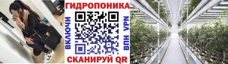 Конопля MAZAR  Заполярный 
